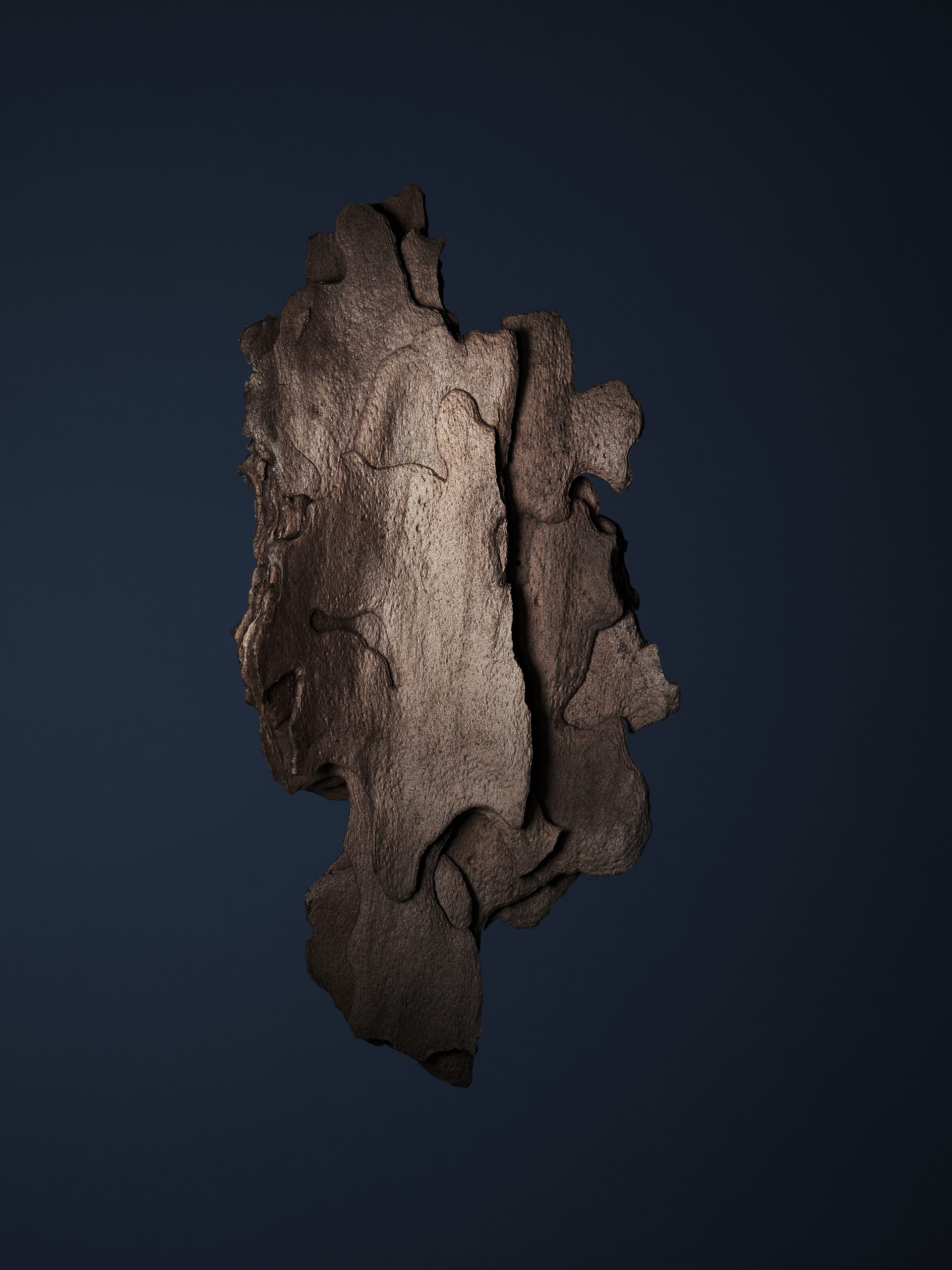 REVOLTAB_Kieferrinde_Final_Low_03