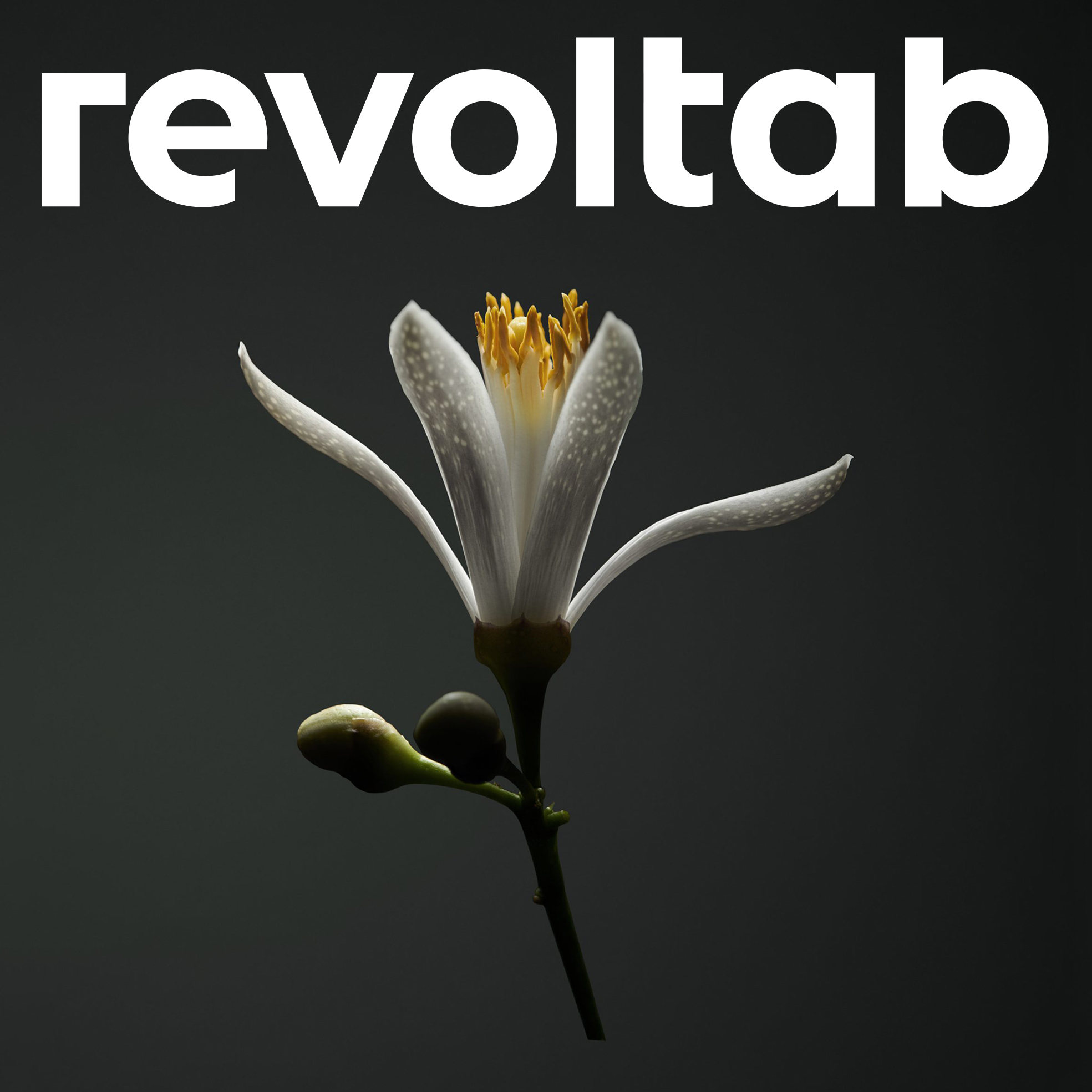 Revoltab